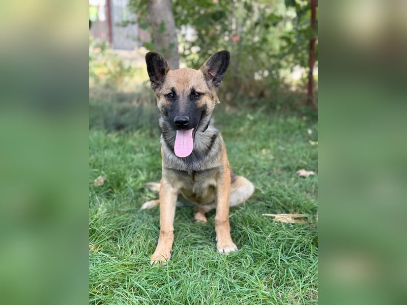 Manci KK – sucht aktive Familie