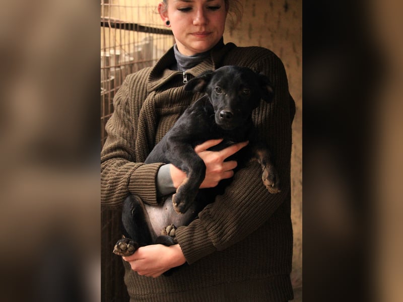 Bella LM – Lebensfrohe Schönheit sucht ihren Platz!