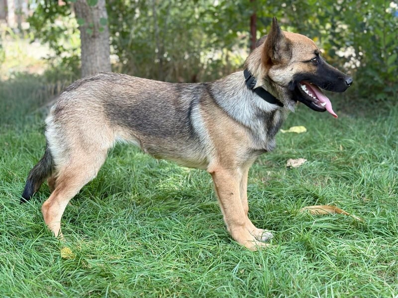 Manci KK – sucht aktive Familie