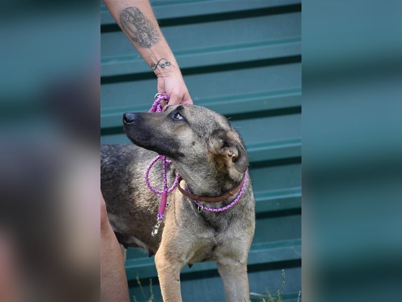 Gréti-BE, junge Mama wünscht sich ein Zuhause