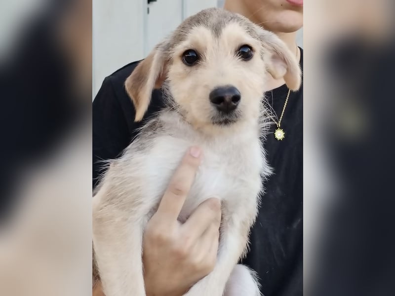 Ein neues Kapitel für Geraldina