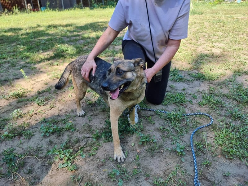 Greta, geb. 05.2021, 48cm, sucht ihr zu Hause