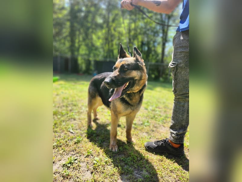 Ciklon, geboren 2022 sucht ihre Menschen