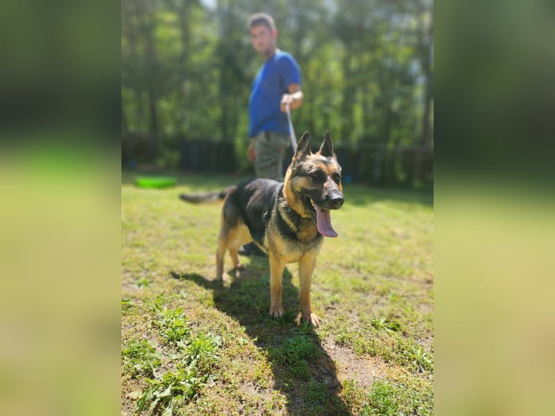 Ciklon, geboren 2022 sucht ihre Menschen