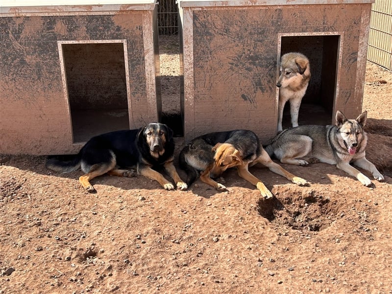 Wer holt Oria zu sich nach Hause?