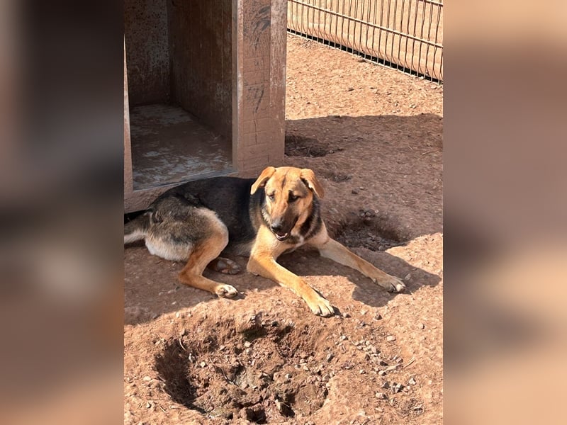 Wer holt Oria zu sich nach Hause?