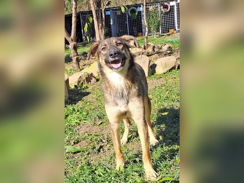 Molinda ist jung und voller Lebensfreude