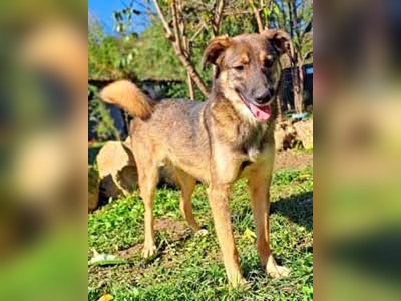 Molinda ist jung und voller Lebensfreude