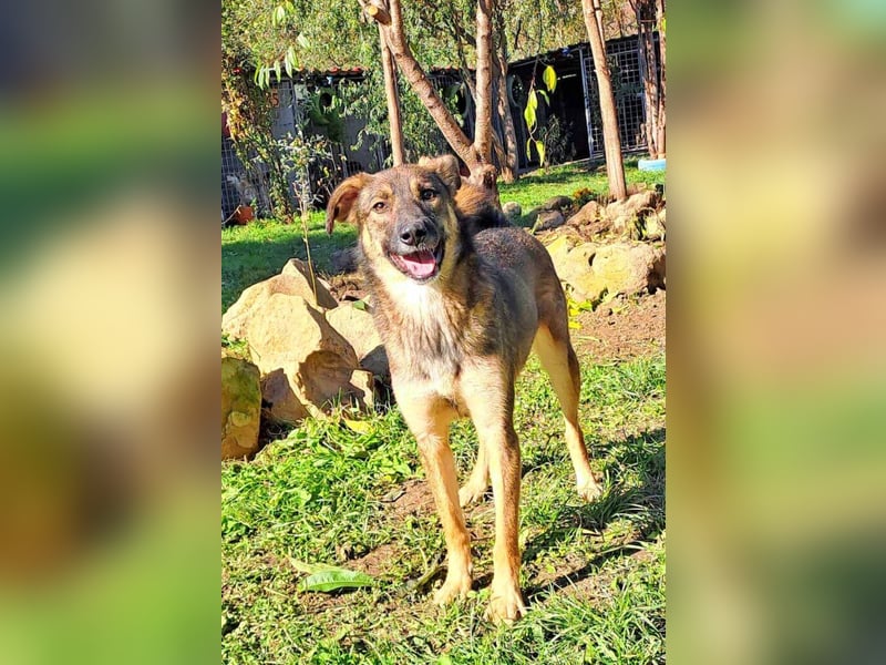 Molinda ist jung und voller Lebensfreude