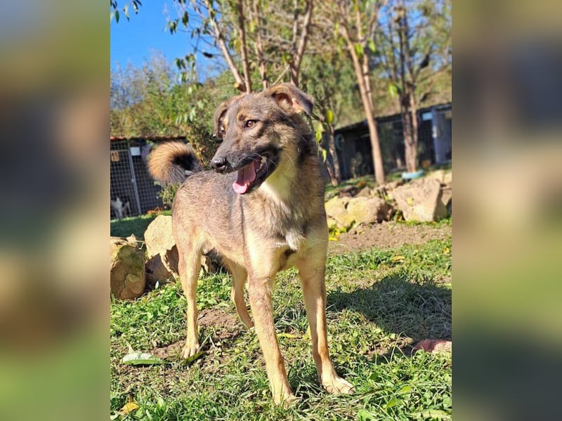 Molinda ist jung und voller Lebensfreude