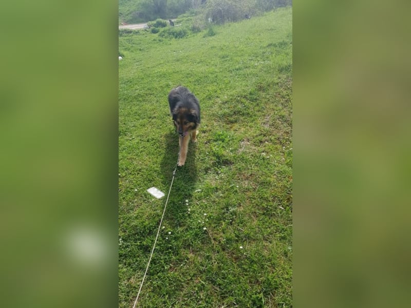Julio