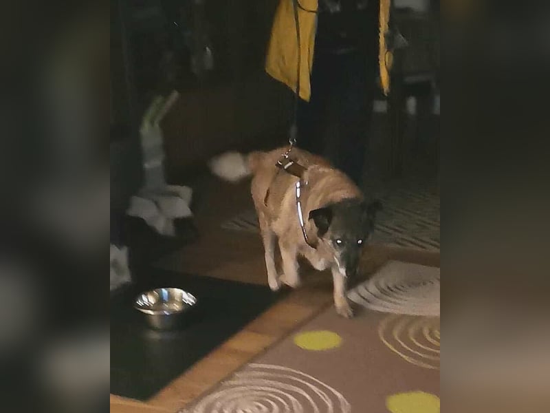 Angeli musste nach 28 Stunden gehen...