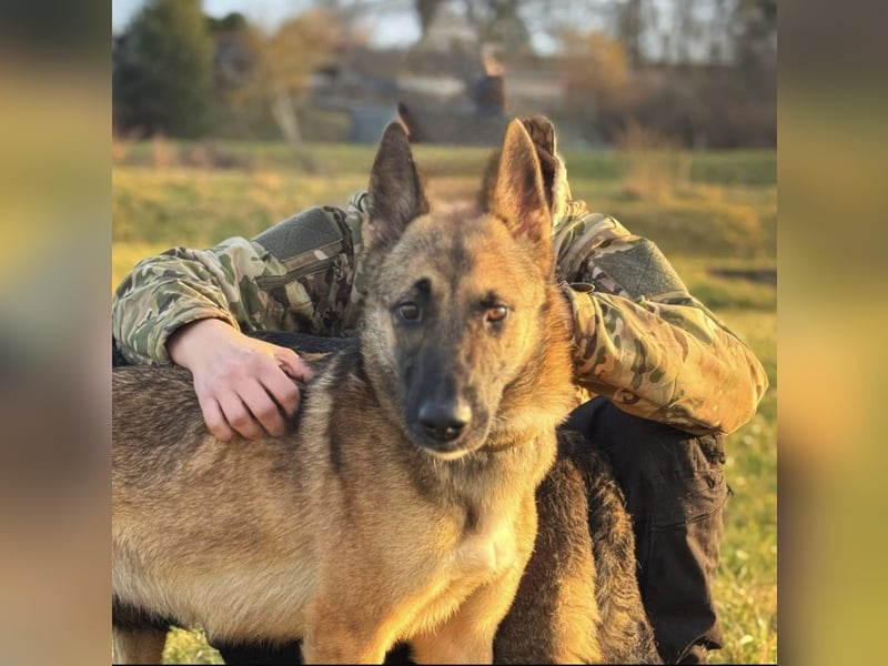 Xena - sucht IHREN Mensch