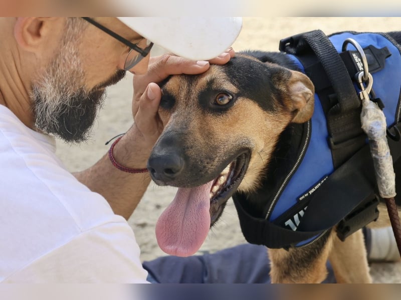 Scooby-Doo, offen, freundlich und zutraulich