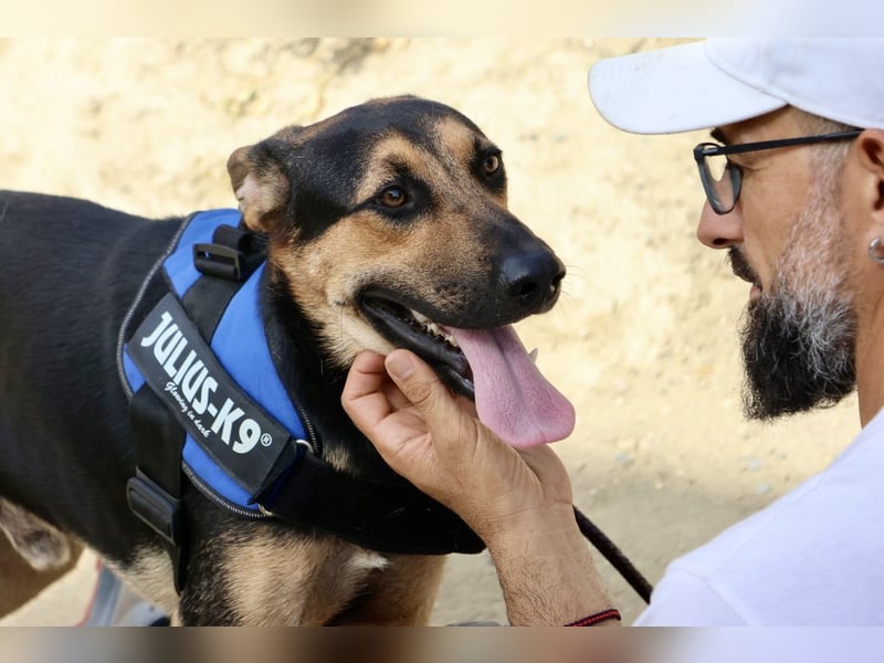 Scooby-Doo, offen, freundlich und zutraulich