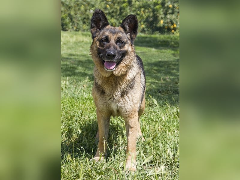 WANDA- verdient eine Familie