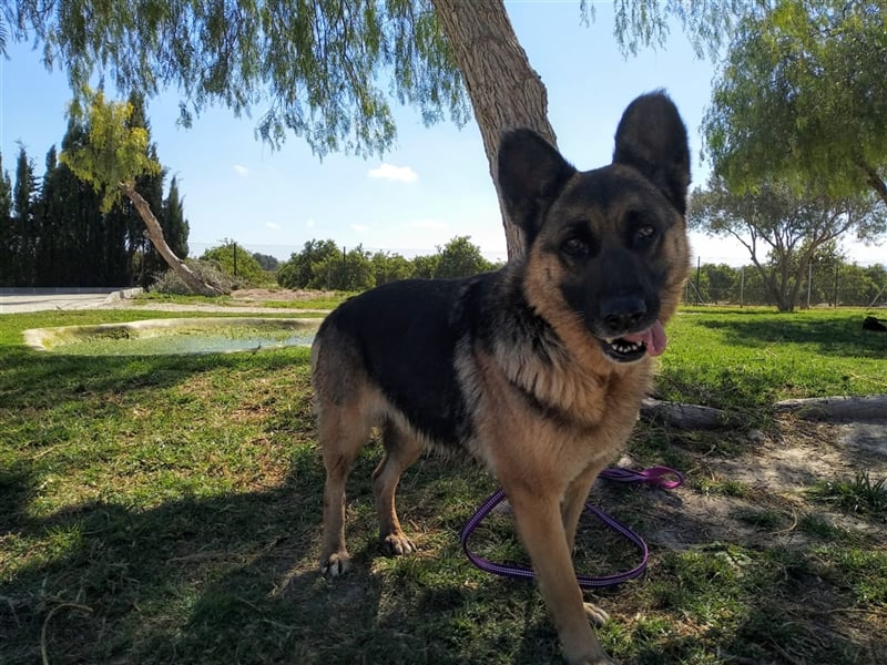 WANDA- verdient eine Familie