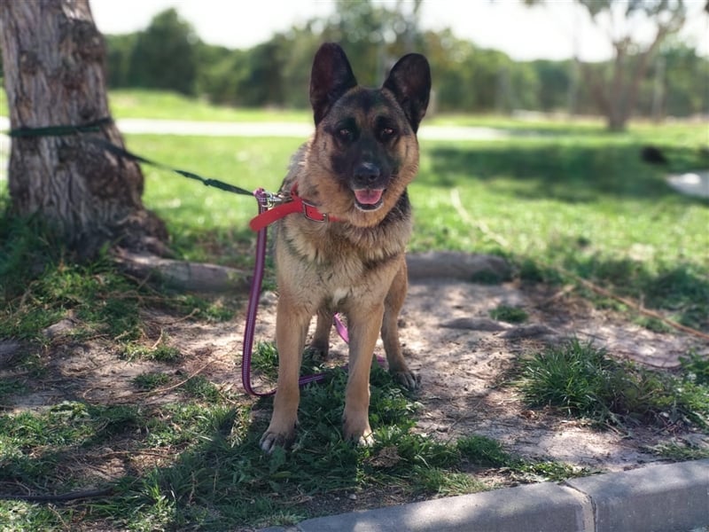 WANDA- verdient eine Familie