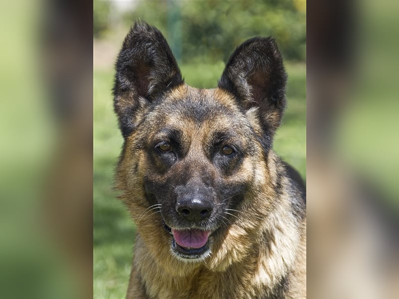 WANDA- verdient eine Familie