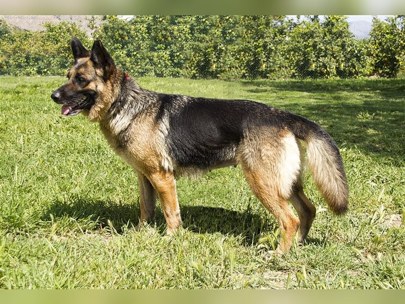 WANDA- verdient eine Familie