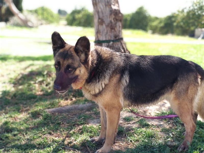 WANDA- verdient eine Familie