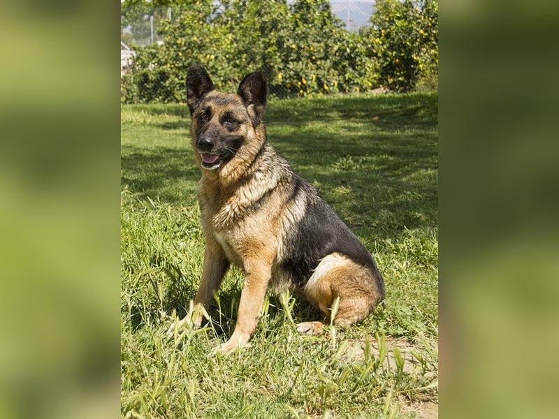 WANDA- verdient eine Familie