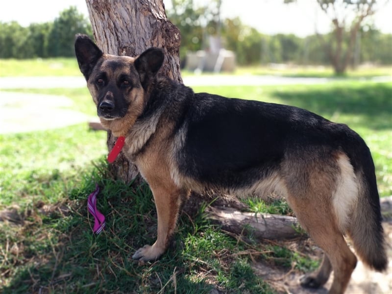 WANDA- verdient eine Familie