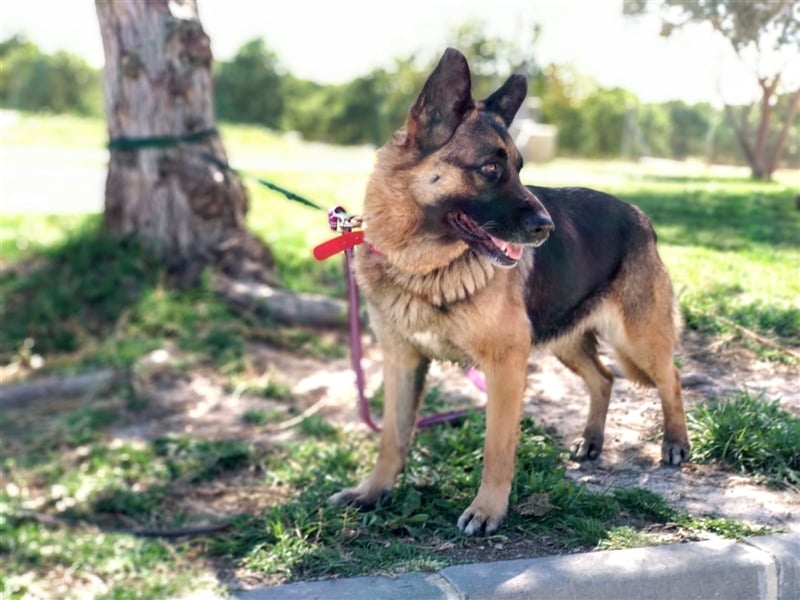 WANDA- verdient eine Familie