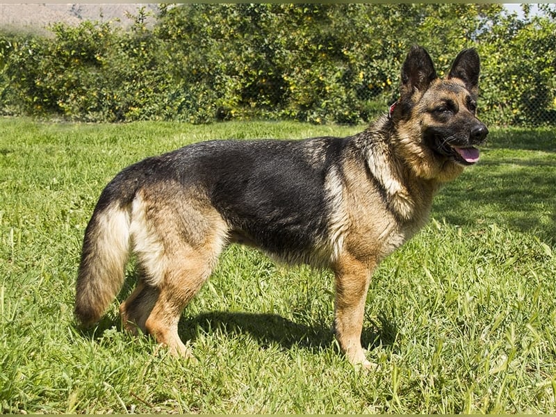 WANDA- verdient eine Familie