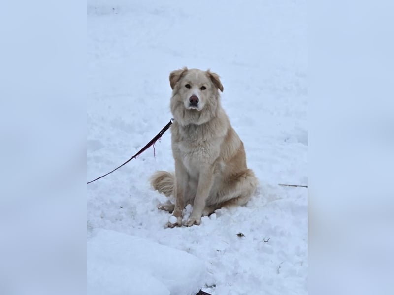 Bildhübsche EFFI sucht eine neue Familie
