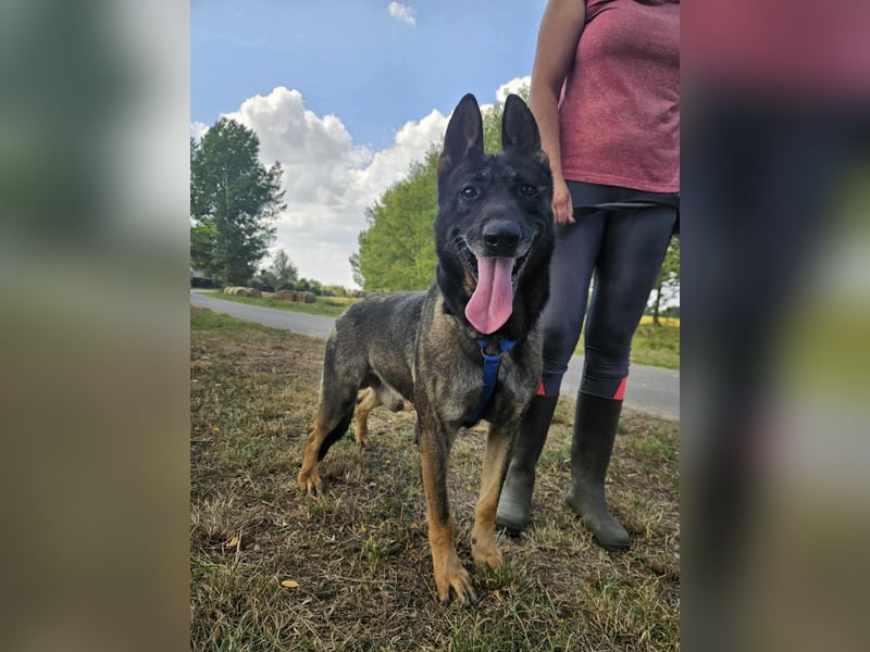 Felix möchte endlich ankommen..