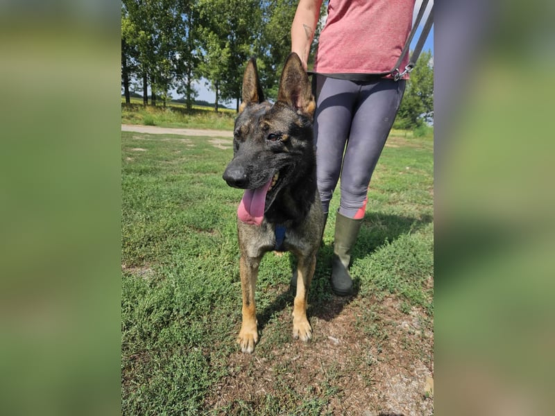 Felix möchte endlich ankommen..