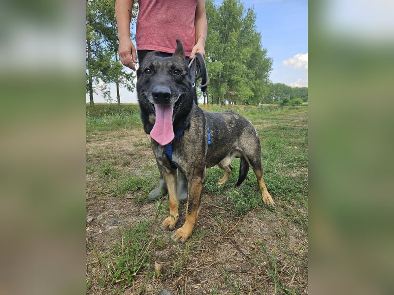 Felix möchte endlich ankommen..