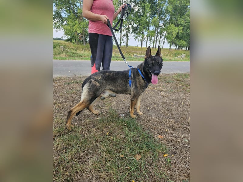 Felix möchte endlich ankommen..