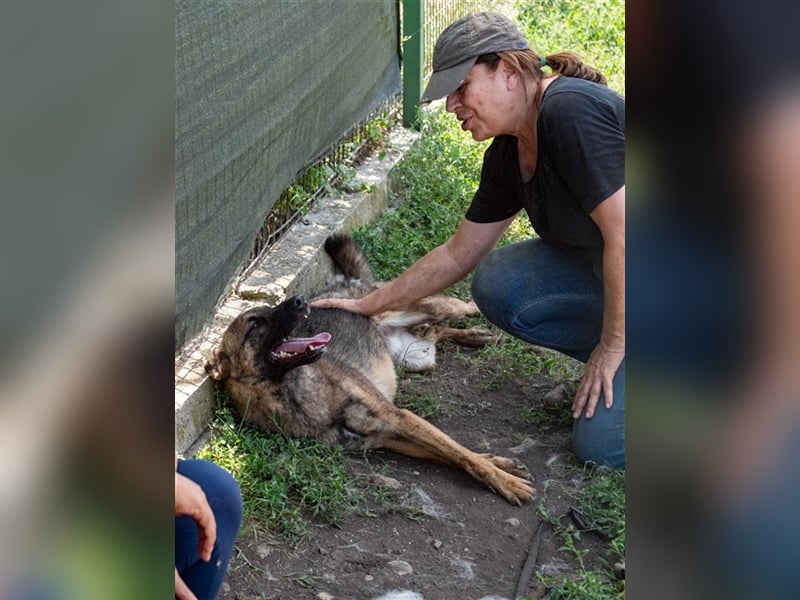 Nikki-auf der Suche nach kuschelnden Händen , die ihm Sicherheit geben