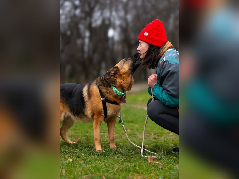 ASTRID- lieb, ruhig, sensibel, ausgeglichen, traurig, sucht liebevolle Familie