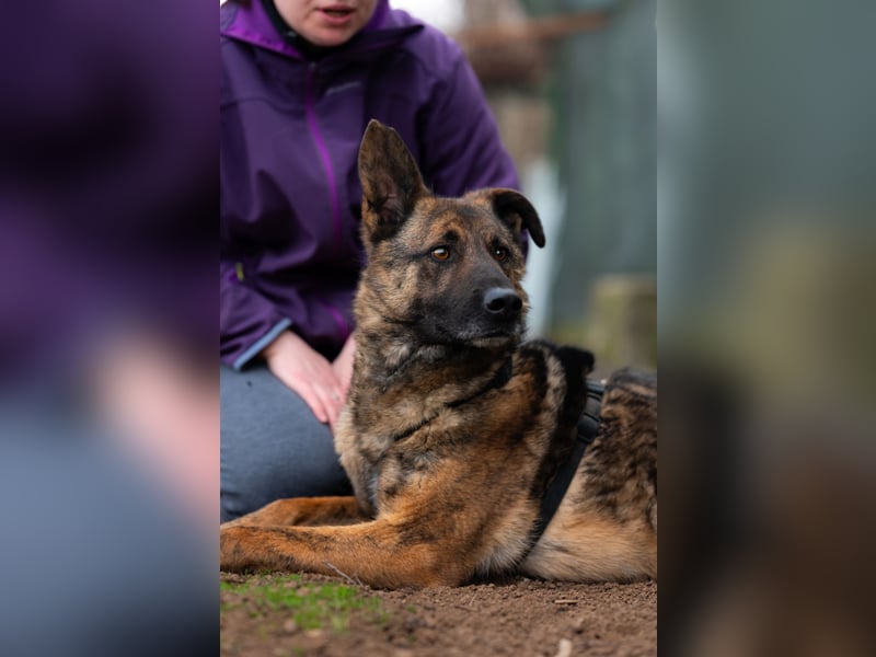 Nikki-auf der Suche nach kuschelnden Händen , die ihm Sicherheit geben