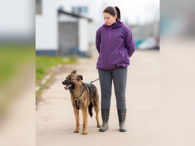 Nikki-auf der Suche nach kuschelnden Händen , die ihm Sicherheit geben