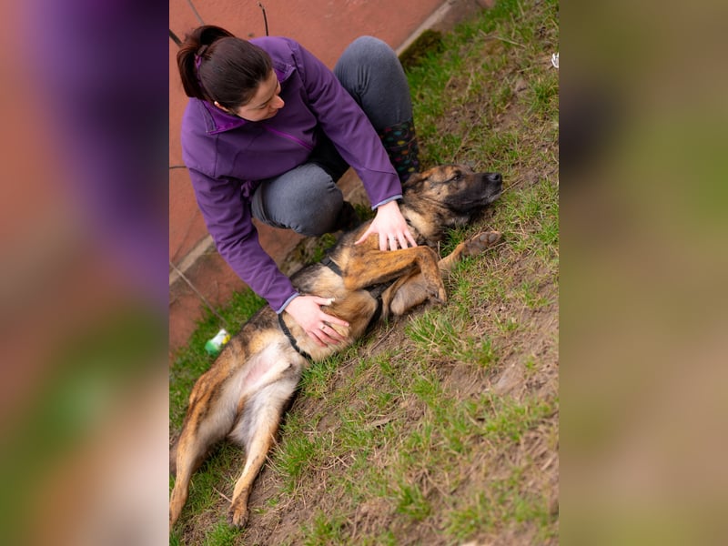 Nikki-auf der Suche nach kuschelnden Händen , die ihm Sicherheit geben