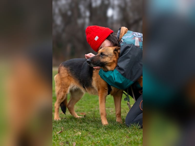 ASTRID- lieb, ruhig, sensibel, ausgeglichen, traurig, sucht liebevolle Familie