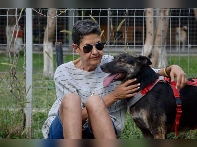 Hanna, seit 2014 im Tierheim