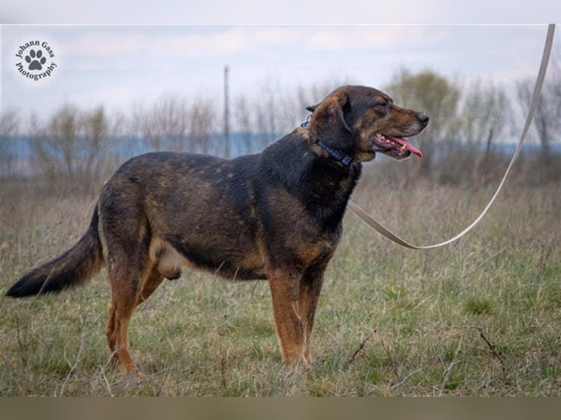 Báttyó hofft auf eine liebe Familie