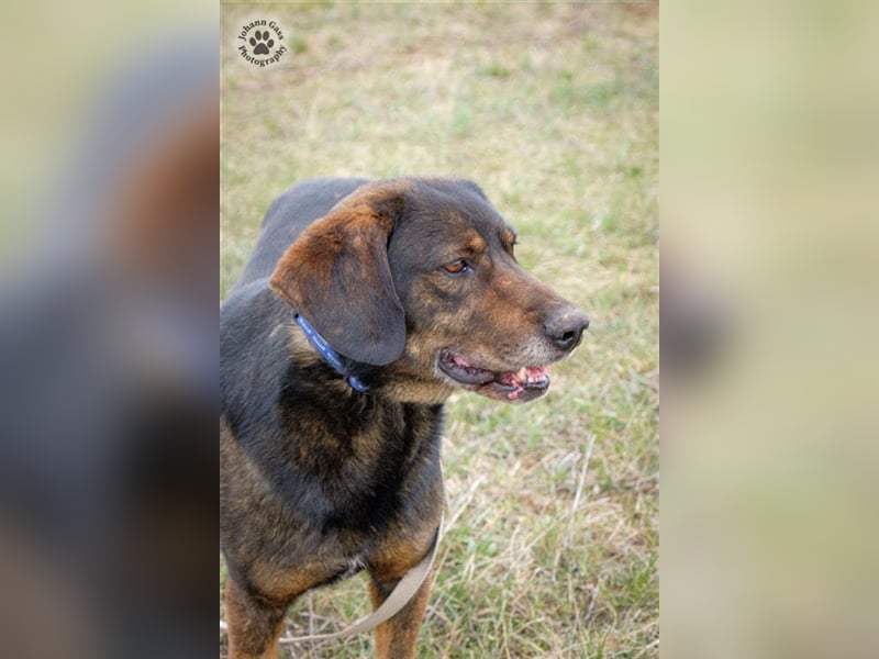 Báttyó hofft auf eine liebe Familie