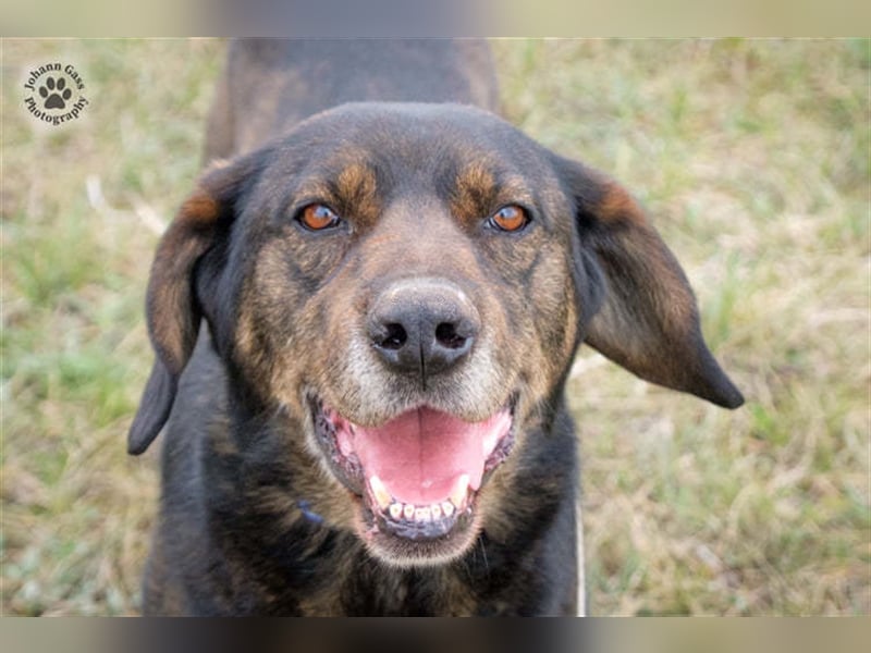 Báttyó hofft auf eine liebe Familie