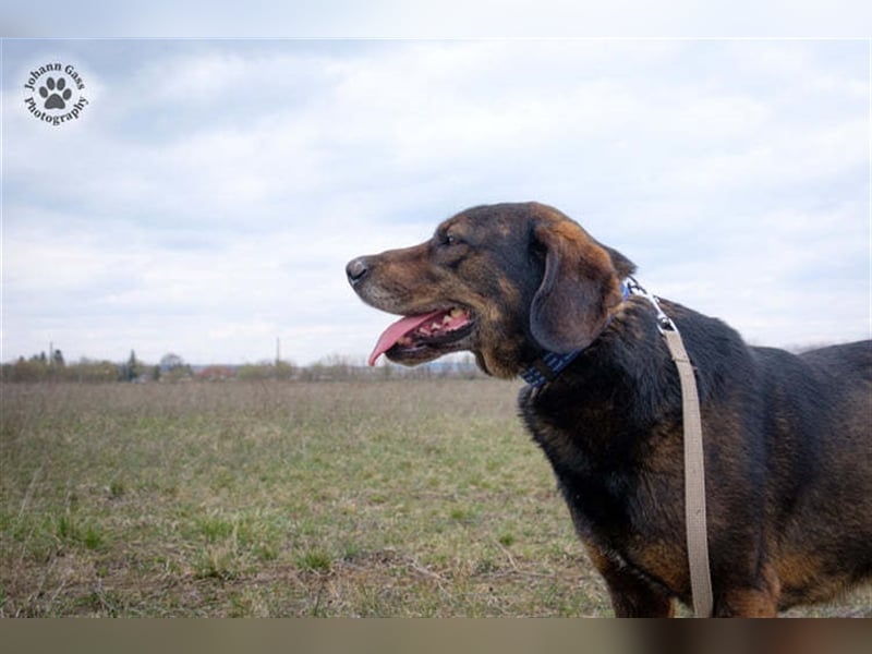 Báttyó hofft auf eine liebe Familie