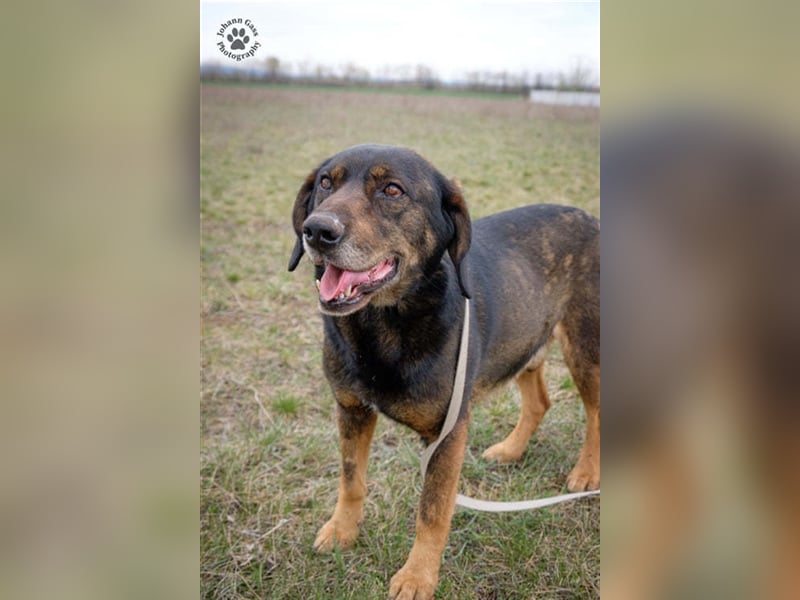 Báttyó hofft auf eine liebe Familie