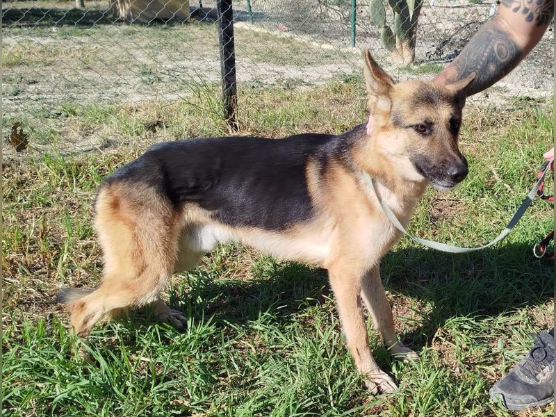 ❤️ GERSON ❤️