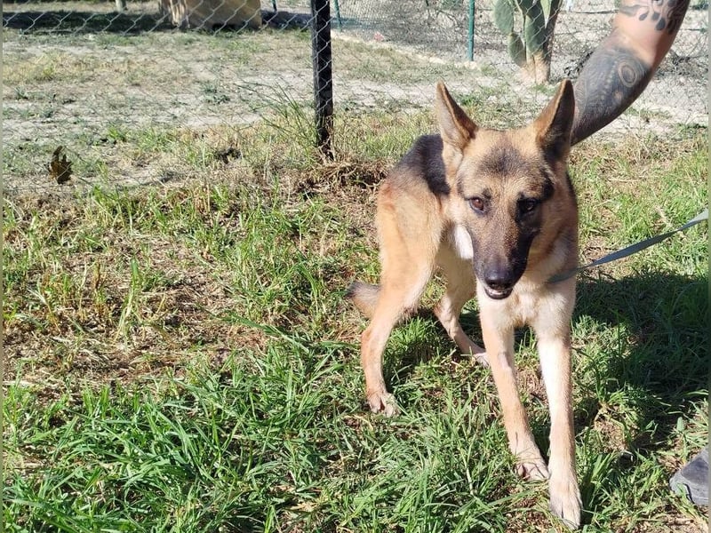 ❤️ GERSON ❤️