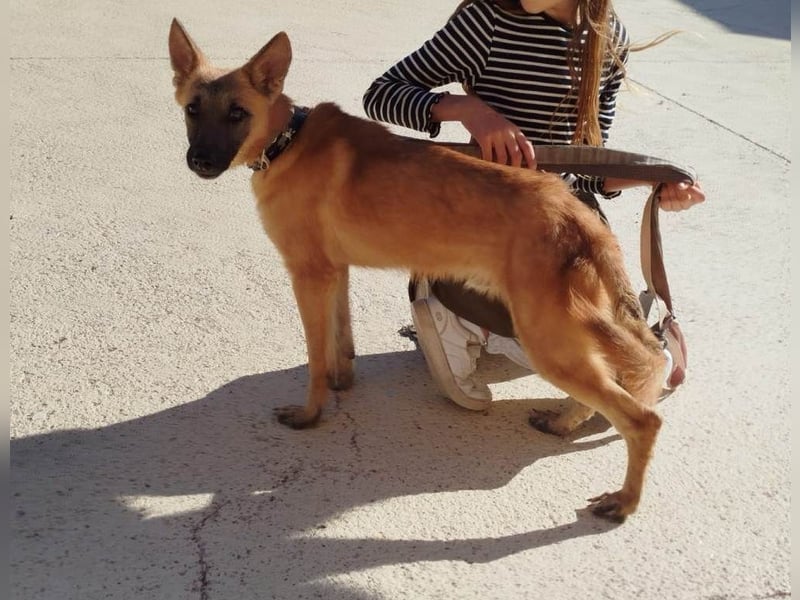 ❤️ CHACAL ❤️