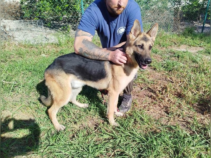 ❤️ GERSON ❤️